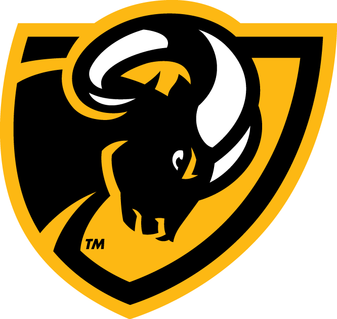 Virginia Commonwealth Rams 2014-Pres Secondary Logo diy DTF decal sticker